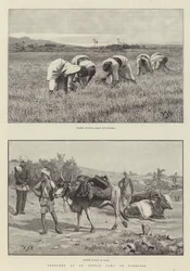 Sketches at an Indian Camp of Exercise